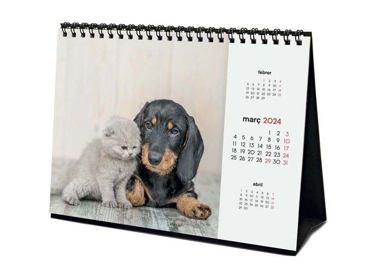 Calendario sobremesa Finocam 2024 Perros Y Gatos cat