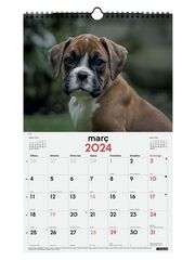 Calendario pared Finocam Esp 25X40 2024 Cachorros cat