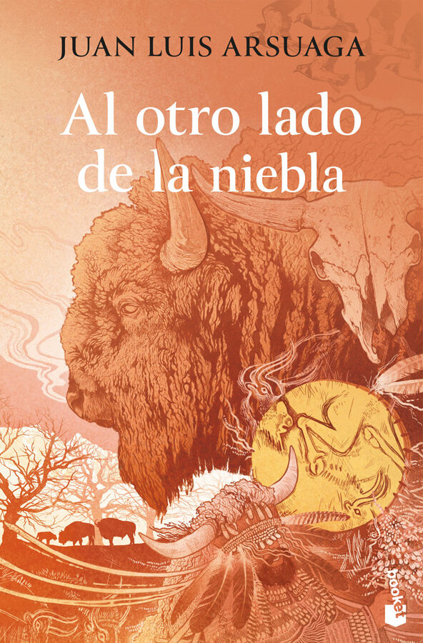Al otro lado de la niebla