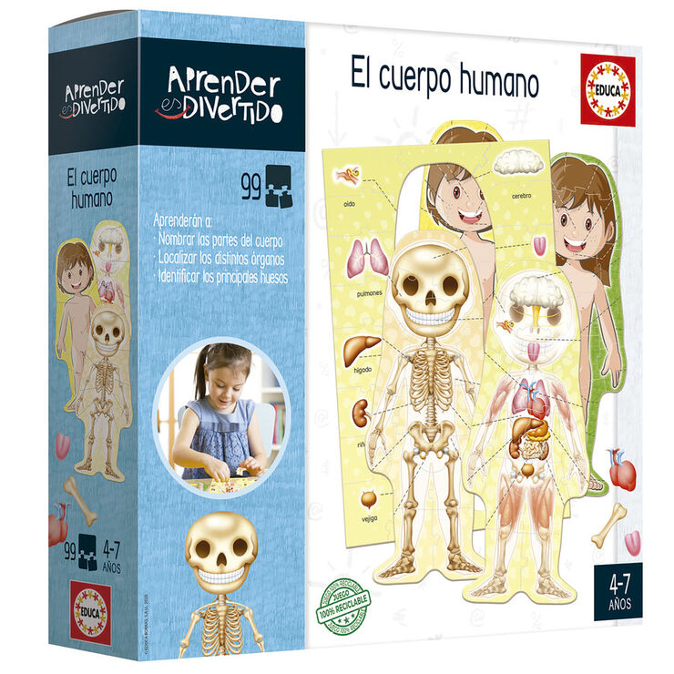 Aprender Es Divertido El Cuerpo Humano