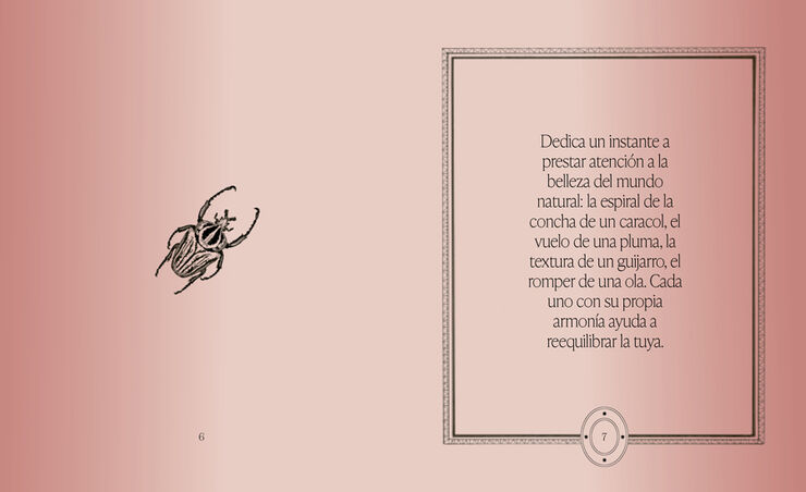 El libro de las respuestas. Confía en tu oráculo mágico