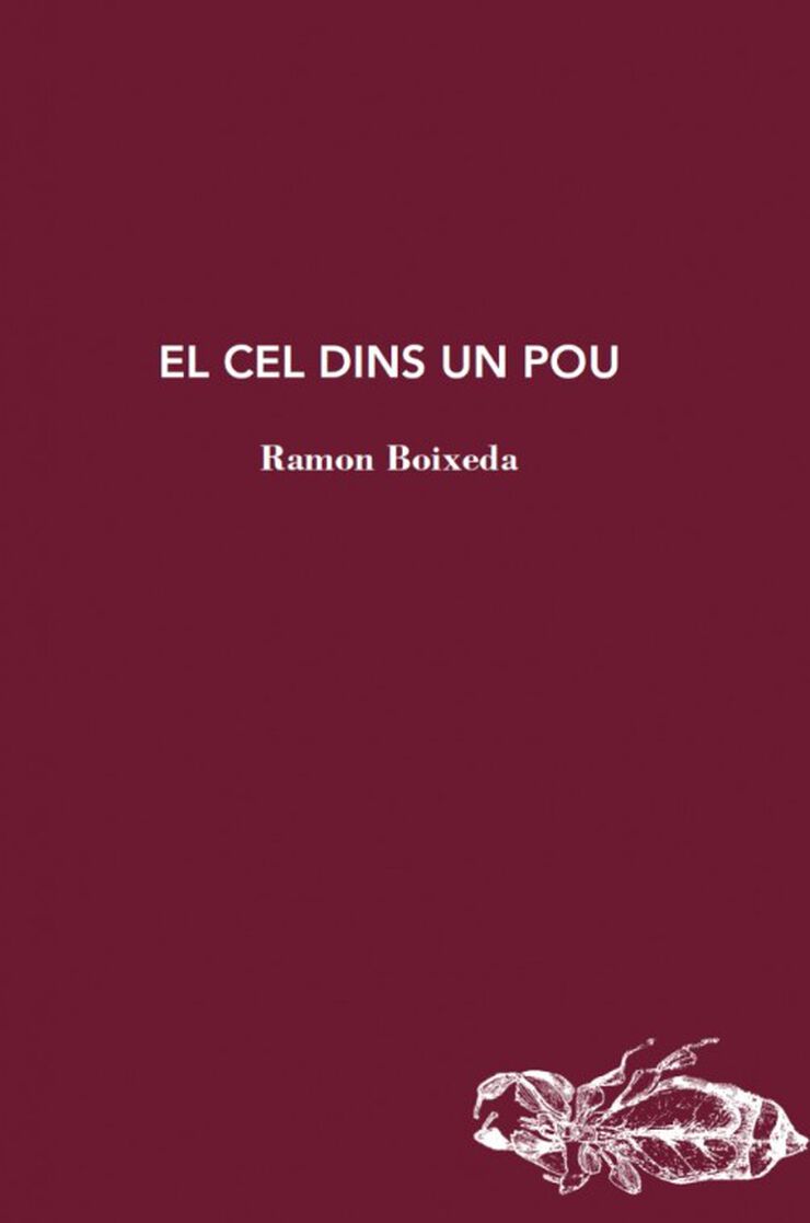 El cel dins un pou