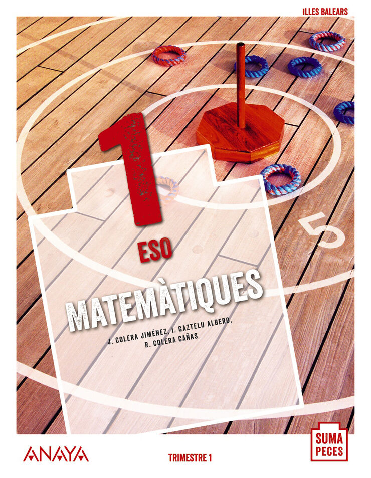 Matem&agrave;tiques/20 Eso 1 Anaya Text 9788469861431