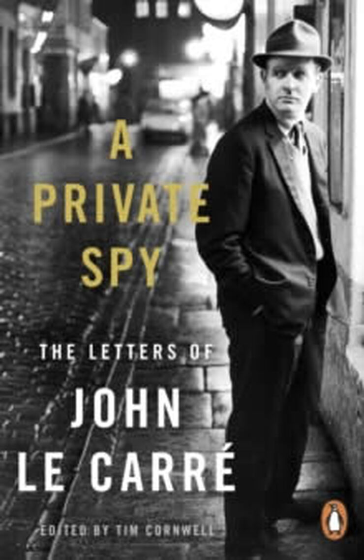 A private spy