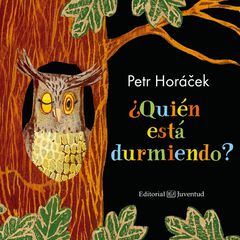 ¿Quién está durmiendo? ¿Quién está durmiendo?