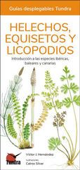 Helechos, equisetos y licopodios. Introducción a las especies ibéricas, baleares y canarias Helechos, equisetos y licopodios. Introducción a las especies ibéricas, baleares y canarias