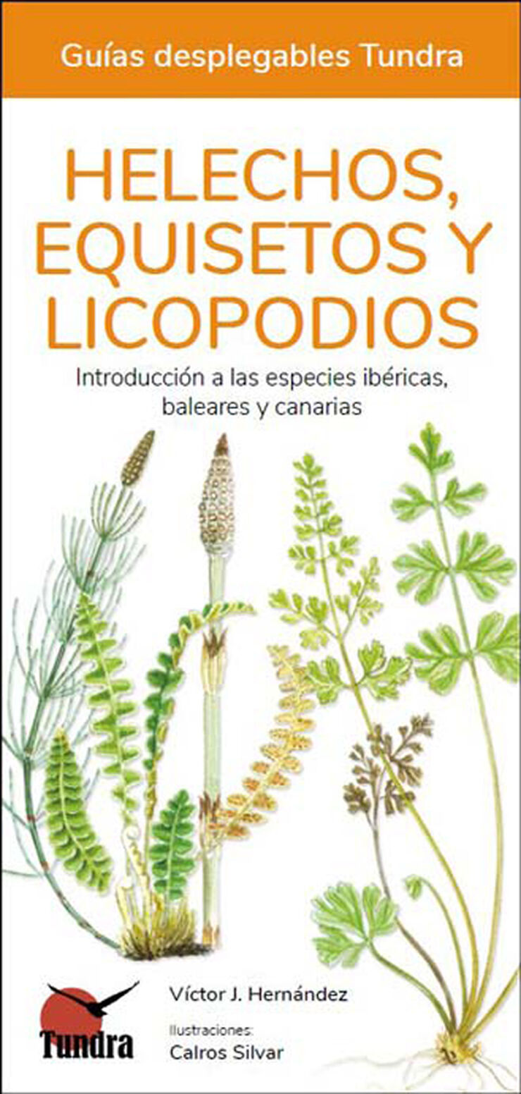 Helechos, equisetos y licopodios. Introducción a las especies ibéricas, baleares y canarias