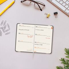 Agenda Finocam Llisa F2 sem/vista horizontal cas 2026 negro