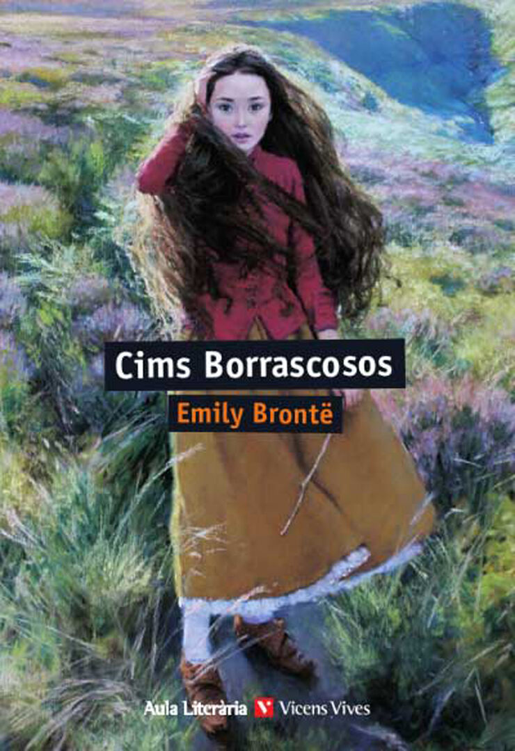 Cims Borrascosos