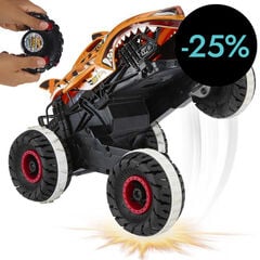 Hot Wheels Monster Trucks Radio Control