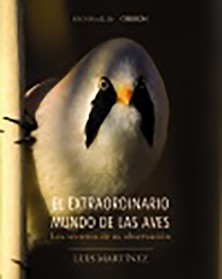 Aves de España (Birdwatching)