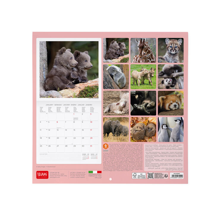 Calendario Legami 30x29 Pared Baby Animals Multiling&uuml;e 2027