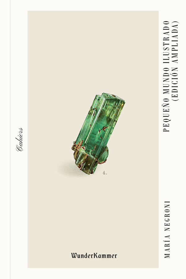 Peque&ntilde;o mundo ilustrado