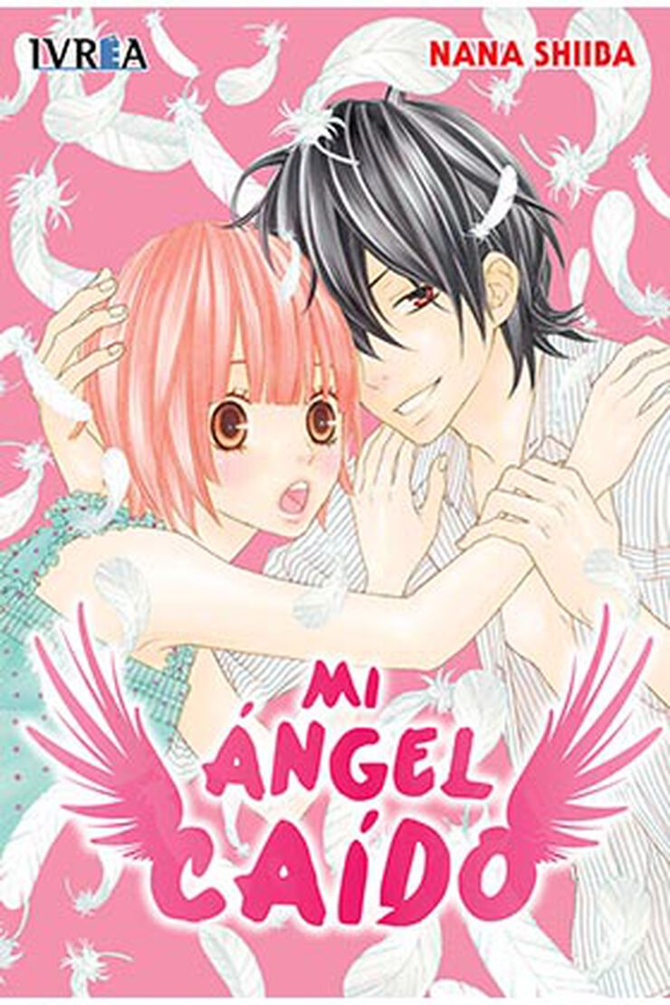 Mi ángel caído