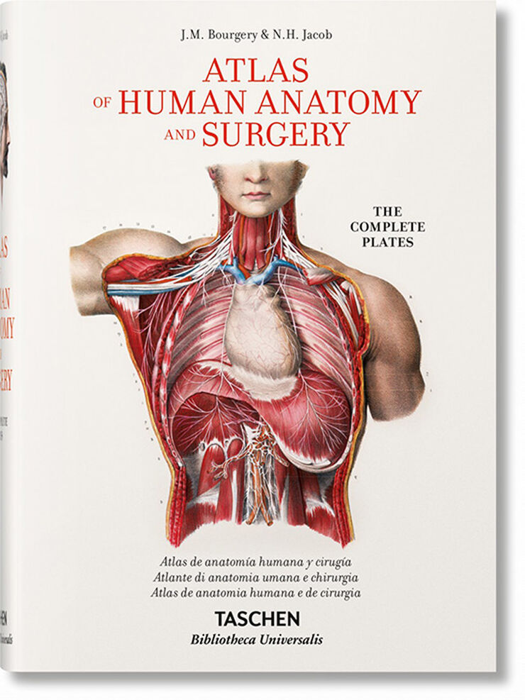 Jean Marc Bourgery. Atlas de anatomía hu