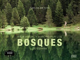 Viaje visual y sonoro por los bosques de España Viaje visual y sonoro por los bosques de España