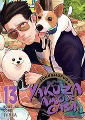 Yakuza amo de casa 13