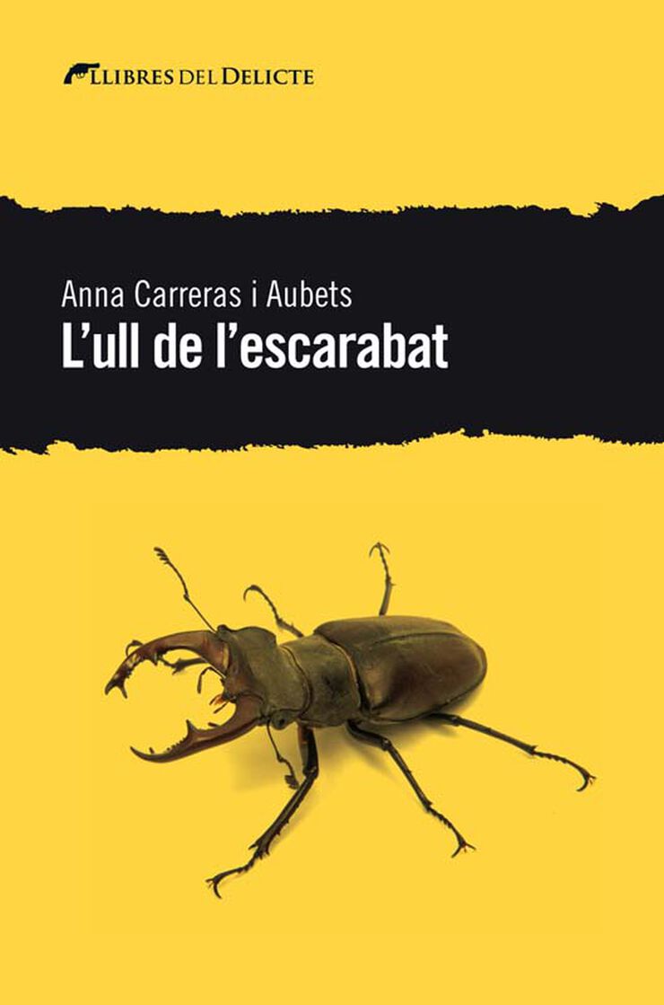 L'ull de l'escarabat