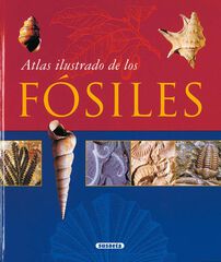 Atlas ilutrado de los fósiles Atlas ilutrado de los fósiles