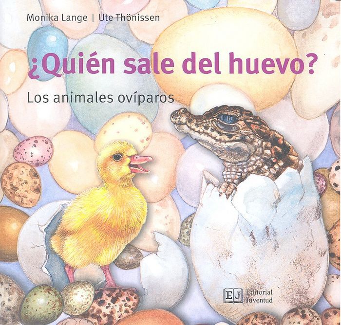 &iquest;Qui&eacute;n sale del huevo?