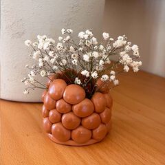 Fang endurible Sio-2 Plus 1kg terra