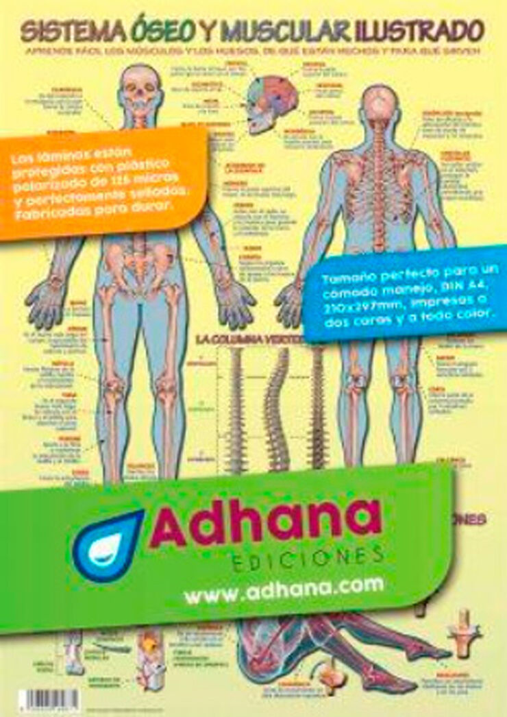 SISTEMA ÓSEO Y MUSCULAR ILUSTRADOS Alfaomega 8436005169671