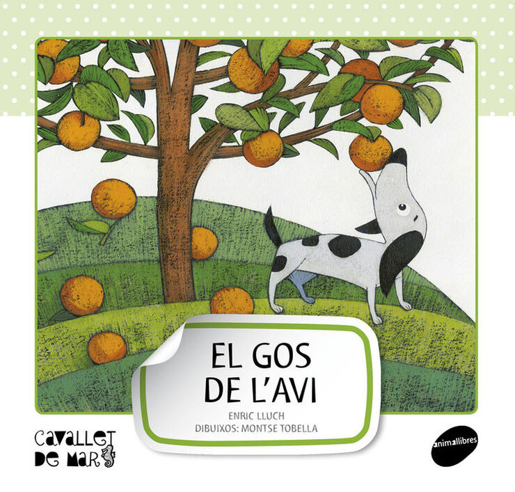 El gos de l'avi