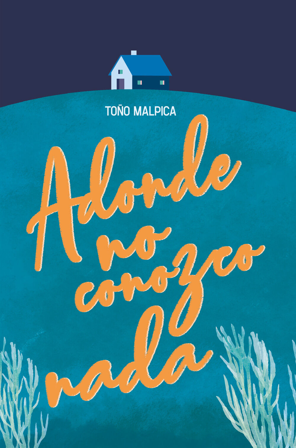 Adonde no conozco nada