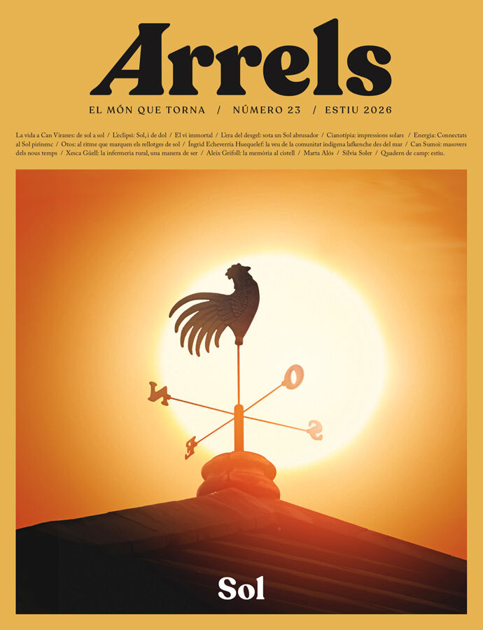 Arrels. El M&oacute;n que Torna 23 &ndash; Sol