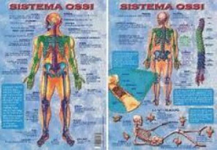 ADHAC Sistema ossi ADHAC Sistema ossi