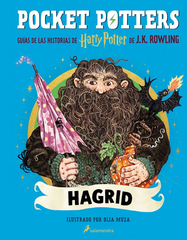 Pocket Potters 6 Hagrid