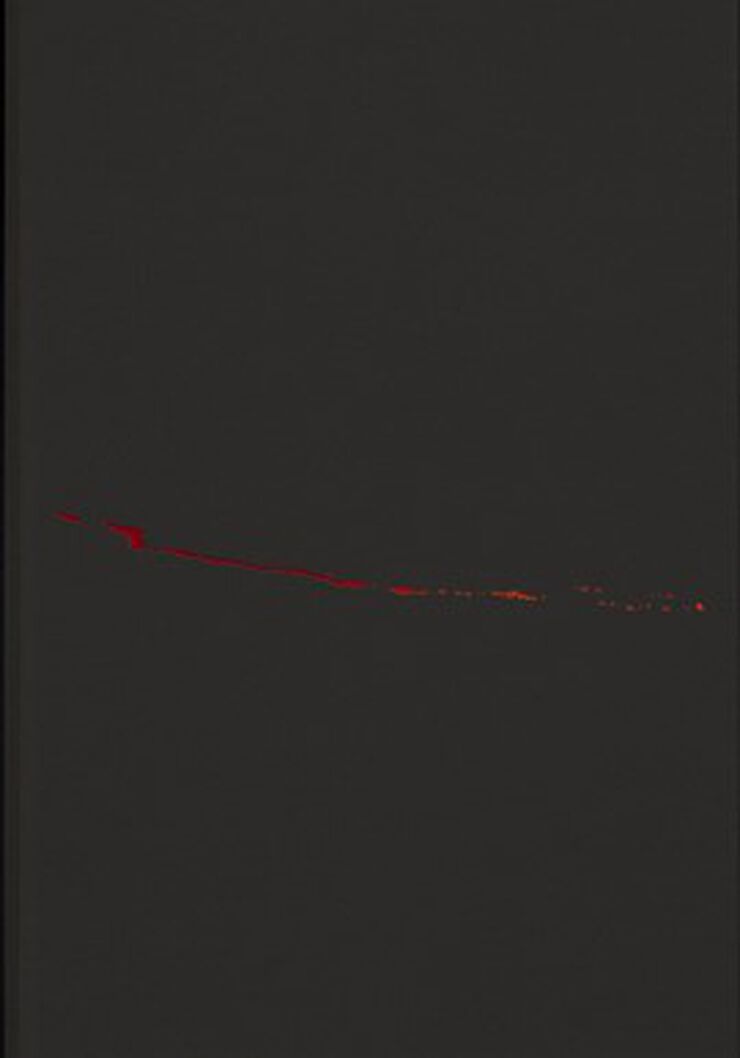 Ochenta y cinco vistas