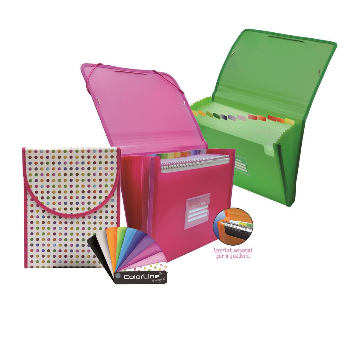 CARP.CLASIFCOLORLINE PP/GOMAS 12d SURT