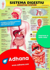 ADHAC 35X50 Sistema digestiu ADHAC 35X50 Sistema digestiu