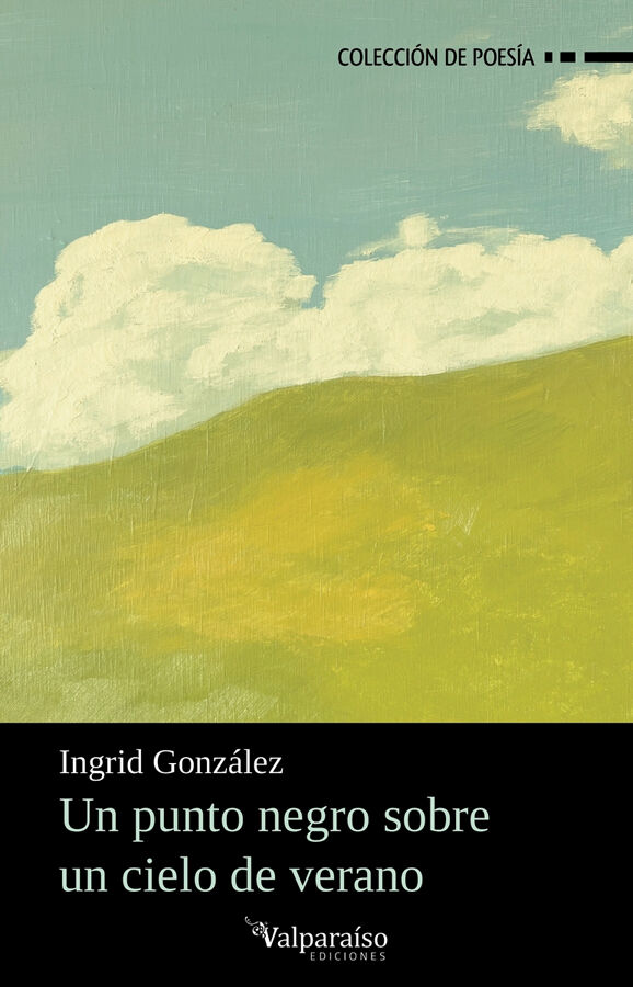 Un punto negro sobre un cielo de verano