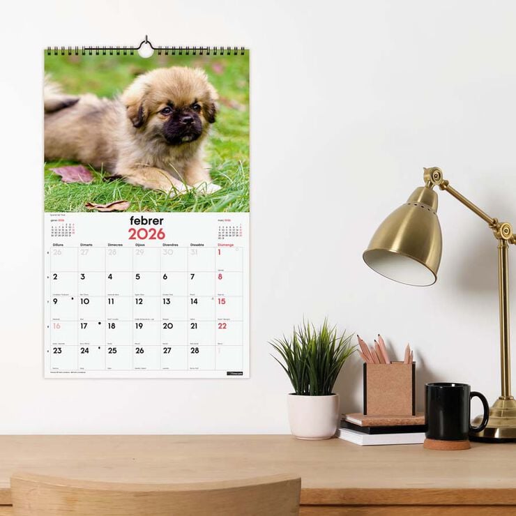 Calendario pared Finocam espiral 25x40 2026 Cachorros catalán