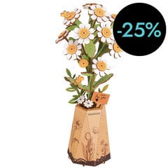 Maqueta Rolife Manzanilla