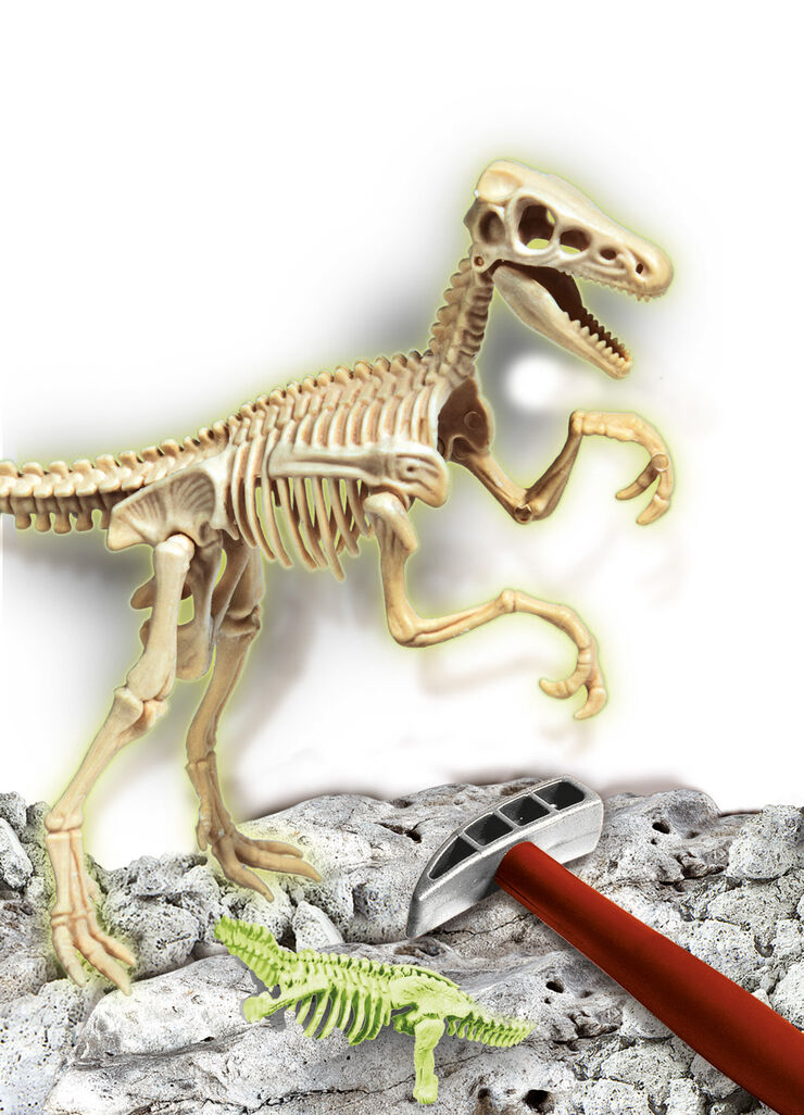 Arqueojugando Velociraptor Fluorescent Arqueojugando Velociraptor Fluorescent