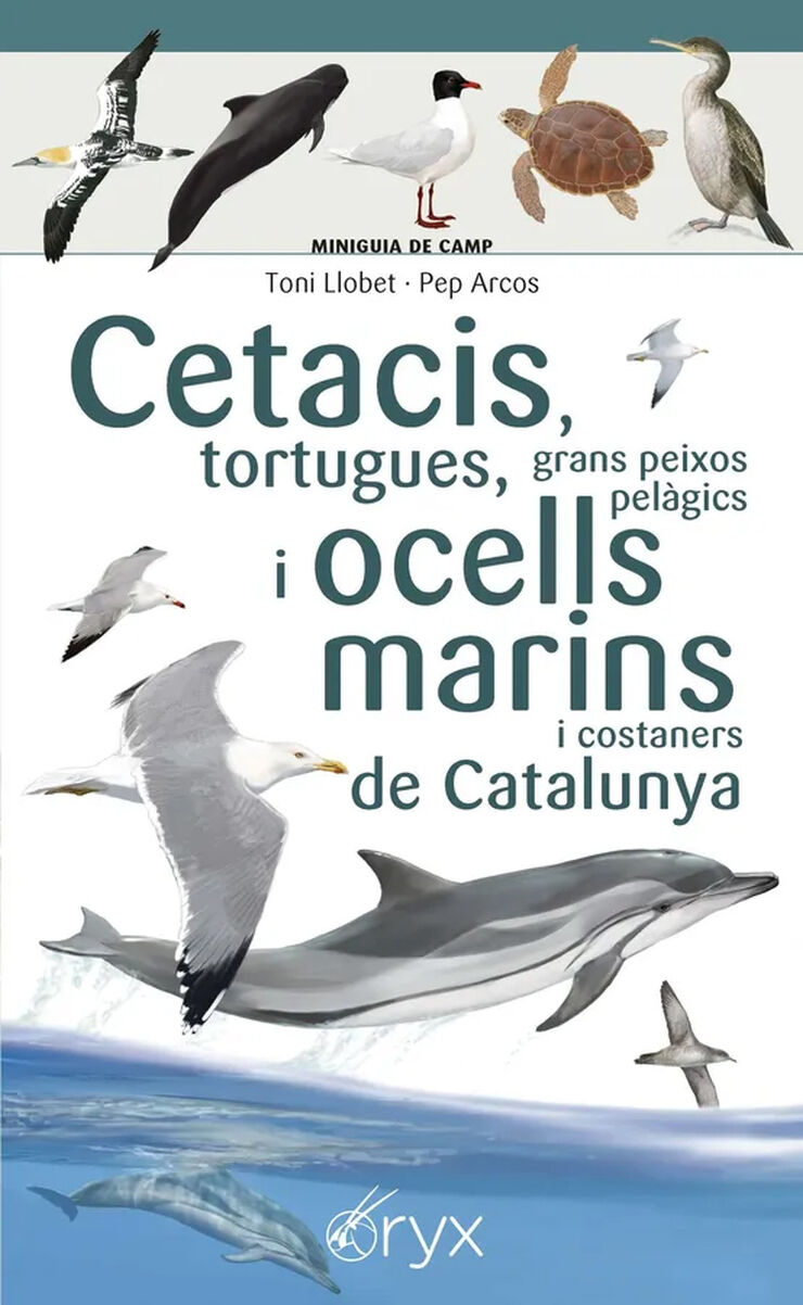 Cetacis, tortugues, grans peixos pel&agrave;gics i ocells marins de Catalunya
