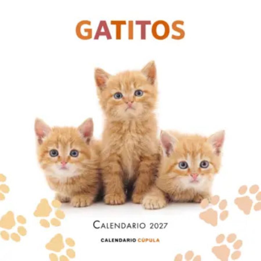 Calendario Pared C&uacute;pula Castellano 2027 Gatitos