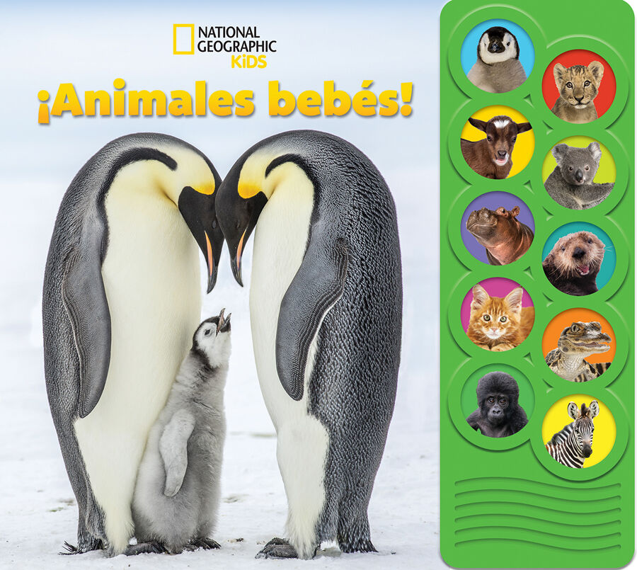 National Geographic Kids &iexcl;Animales beb&eacute;s! Libro con 10 botones de sonidos PI Kids