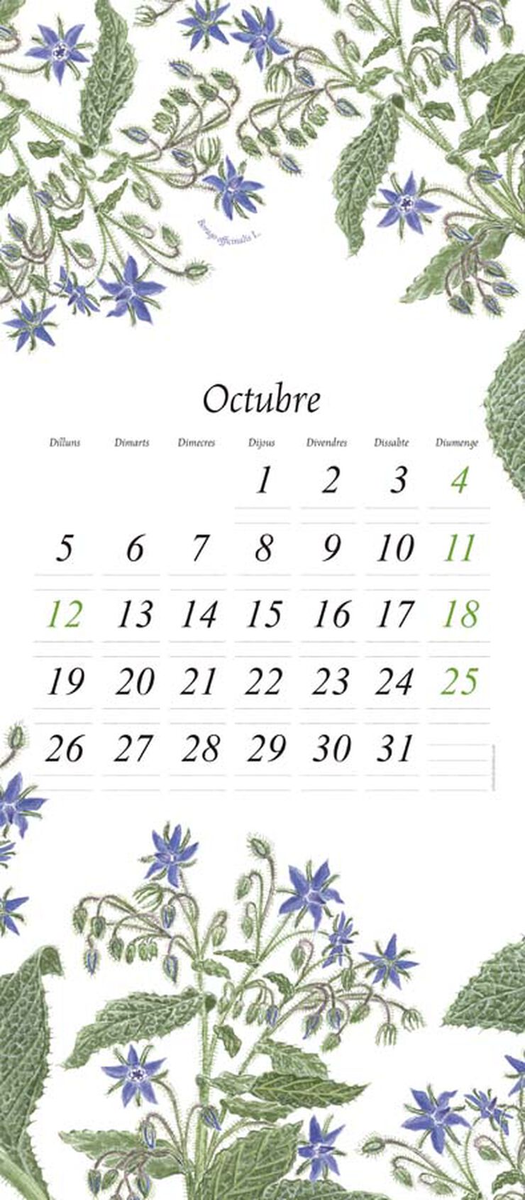 Calendari paret Flora 2026 catal&agrave;