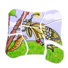 ENCAJE EVOLUTIVO MARIPOSA