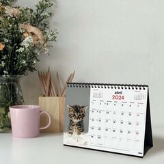 Calendario sobremesa Finocam 2024 Gatitos cat