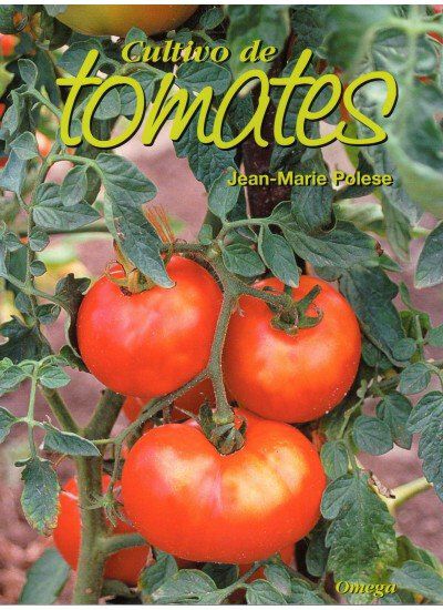 Cultivo de tomates