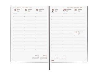 Agenda Finocam Mara Y11 sem/vista vertical cat 2026 negro