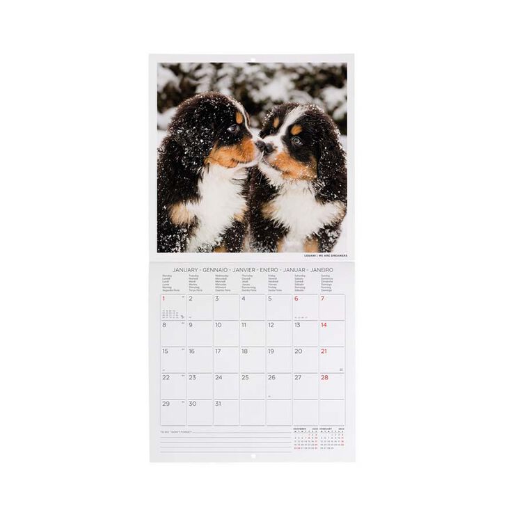 Calendario pared Legami 18X18 2024 Puppies