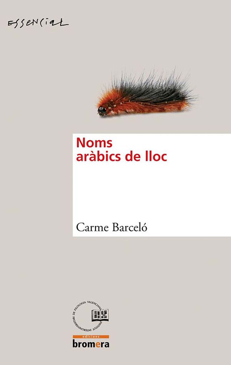 Noms aràbics de lloc