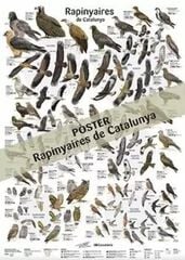 Rapinyaires de Catalunya -pòster- Rapinyaires de Catalunya -pòster-