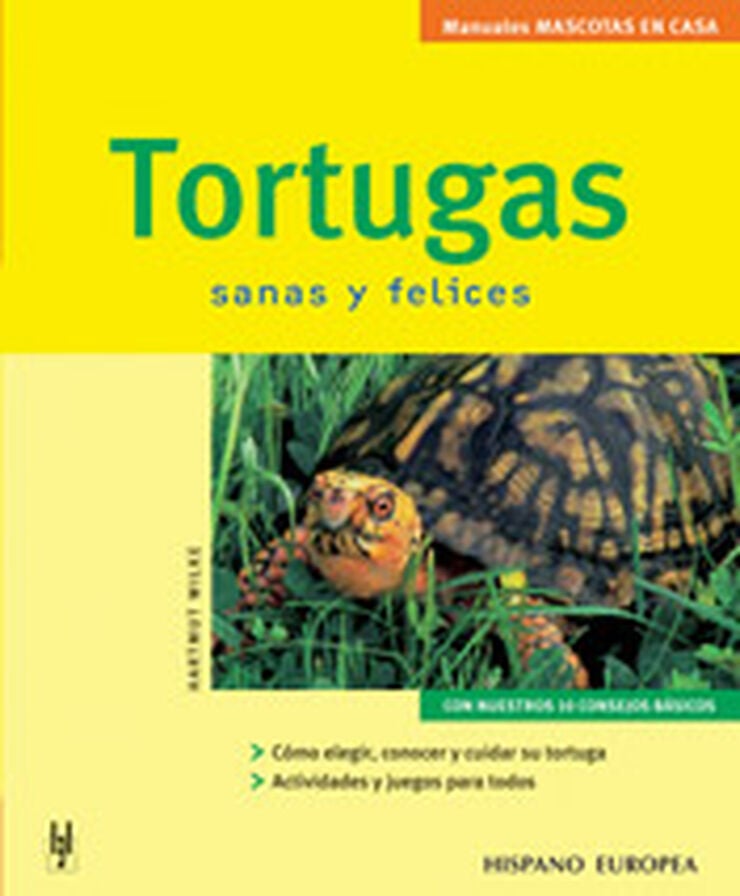 Tortugas: mascotas en casa